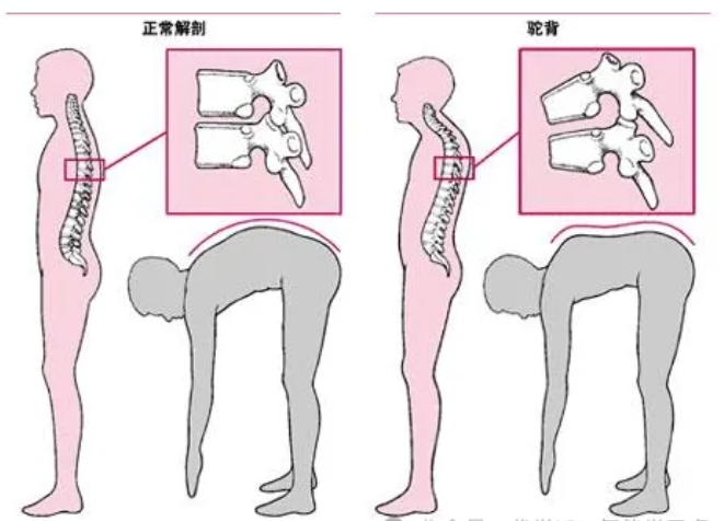 企业微信截图_20240817094420.png